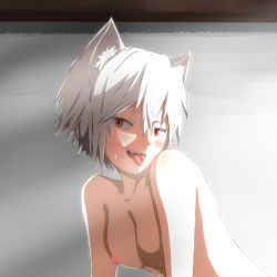 Rule 34 | 1girl, animal ears, backlighting, bad id, bad pixiv id, blush, breasts, collarbone, grey background, highres, houtinti, inubashiri momiji, nipples, nude, red eyes, shadow, short hair, silver hair, small breasts, solo, sweatdrop, tongue, tongue out, touhou, upper body, wolf ears
