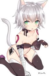 Rule 34 | 1girl, adapted costume, animal ears, arm support, artist name, bandaged arm, bandages, black gloves, black panties, black thighhighs, boots, breasts, bustier, cat ears, cat tail, cleavage, fang, fate/apocrypha, fate (series), fingerless gloves, gloves, green eyes, jack the ripper (fate/apocrypha), leaning forward, nail polish, navel, open mouth, panties, paw pose, scar, shijima (sjmr02), short hair, silver hair, simple background, single glove, sitting, small breasts, solo, string panties, tail, thigh boots, thighhighs, twitter username, underwear, white background