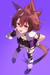Rule 34 | 1girl, absurdres, animal ears, belt, black footwear, black gloves, black shirt, black thighhighs, blush, boots, breasts, brown hair, chibi, cleavage, collar, commentary, english commentary, fingerless gloves, full body, fur-trimmed gloves, fur trim, gloves, highres, horse ears, horse girl, horse tail, jacket, jenshenya, legwear garter, looking at viewer, navel, open clothes, open jacket, open mouth, purple background, purple eyes, purple jacket, shinko windy (umamusume), shirt, short hair, simple background, sleeveless, sleeveless jacket, small breasts, smile, solo, standing, tail, thighhighs, torn clothes, torn shirt, torn thighhighs, umamusume