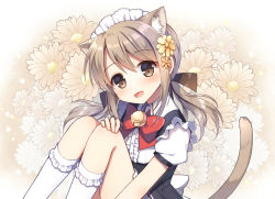 Rule 34 | 1girl, animal ears, bell, blouse, blush, bow, bowtie, brown eyes, brown hair, cat ears, cat tail, dress, floral background, flower, frills, grey hair, hair flower, hair ornament, jingle bell, kneehighs, knees up, long hair, looking at viewer, maid, maid headdress, mauve, open mouth, original, pinafore dress, red bow, red bowtie, shirt, short sleeves, sidelocks, sitting, sleeveless dress, smile, socks, solo, tail, white shirt, white socks, yellow flower