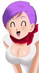 Rule 34 | breast press, breasts, bulma, dragon ball, earrings, closed eyes, highres, jewelry, shirt, simple background, smile, tagme, white shirt