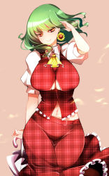 Rule 34 | 1girl, absurdres, adjusting hair, breasts, clothing cutout, collared shirt, cowboy shot, curvy, earrings, flower, frilled skirt, frilled vest, frills, green hair, highres, jewelry, kazami yuuka, large breasts, looking at viewer, midriff, midriff peek, navel, plaid, plaid skirt, plaid vest, pointy ears, puffy short sleeves, puffy sleeves, raptor7, red eyes, shirt, short hair, short sleeves, simple background, skirt, smile, solo, sunflower, touhou, umbrella, underboob, underboob cutout, unmoving pattern, vest, white shirt, yellow neckwear
