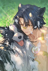 Rule 34 | 1boy, affectionate, animal, animal ears, animal hug, arknights, bandaid, bandaid on face, bandaid on nose, bishounen, black hair, brown eyes, collarbone, dog, dog boy, dog ears, feet out of frame, highres, lalatia-meai, male focus, parted bangs, short hair, smile, sunlight, tongue, tongue out, topless male, wet, windflit (arknights)