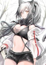 Rule 34 | 1girl, animal ears, arknights, atoshi, bare tree, black scarf, black shorts, breasts, cat ears, cat girl, cat tail, cleavage, commentary, cowboy shot, crop top, ear piercing, expressionless, female focus, grey hair, hair between eyes, hood, hood down, hooded jacket, jacket, large breasts, long hair, looking at viewer, navel, off shoulder, open clothes, open jacket, orange eyes, parted lips, piercing, ponytail, scarf, schwarz (arknights), scrunchie, see-through, see-through sleeves, short shorts, shorts, simple background, solo, standing, stomach, strap, striped clothes, striped scarf, tail, tree, white background, white jacket