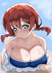 Rule 34 | 1girl, absurdres, aqua eyes, bare shoulders, blush, braid, breasts, brown hair, cleavage, closed mouth, cloud, emma verde, freckles, highres, large breasts, looking at viewer, love live!, love live! nijigasaki high school idol club, lying, medium hair, off shoulder, on stomach, one-piece swimsuit, outdoors, pisagi, sky, smile, solo, swimsuit, twin braids, wet