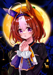 Rule 34 | 1girl, absurdres, ahoge, animal ears, ascot, bare tree, bat (animal), black dress, brown hair, bug, commentary, dress, english commentary, fang, frilled sleeves, frills, frown, full moon, hairband, halloween, halloween costume, hat, highres, horse ears, horse girl, house, lace-trimmed hairband, lace trim, long sleeves, looking at viewer, medium hair, meisho doto (dot-o&#039;-lantern) (umamusume), meisho doto (umamusume), moon, morizu929, multicolored hair, neck ribbon, night, official alternate costume, open mouth, orange headwear, orange ribbon, outdoors, own hands together, purple hairband, ribbon, solo, spider, tree, two-tone hair, umamusume, upper body, white ascot, white hair