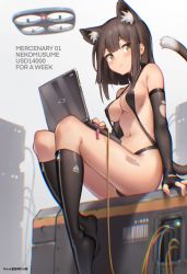 Rule 34 | 1girl, absurdres, animal ear fluff, animal ears, barcode, barcode tattoo, bare shoulders, bikini, bilibili xiaolu, black bikini, black gloves, black hair, black socks, breasts, brown eyes, cat ears, cat girl, cat tail, computer, drone, elbow gloves, extra ears, fingerless gloves, gloves, highres, kneehighs, laptop, looking at viewer, medium breasts, navel, no shoes, original, parted lips, plantar flexion, short hair, sitting, socks, solo, stomach, swimsuit, tail, tail raised, tattoo, thighs, torn clothes, torn gloves