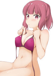 Rule 34 | 1girl, bikini, bikini top only, blush, bottomless, breasts, brown hair, cleavage, closed mouth, commentary request, groin, hinata masaki, holding, holding bikini, holding bikini top, holding clothes, holding swimsuit, koisuru asteroid, large breasts, looking at viewer, navel, ponytail, purple bikini, red eyes, sakurai mikage, sidelocks, simple background, sitting, solo, swimsuit, white background
