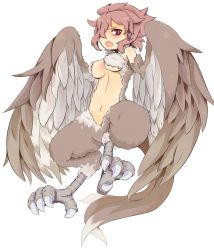 Rule 34 | 1girl, claws, female focus, hair over one eye, harpy, monster girl, navel, ofuri, open mouth, original, pink hair, simple background, solo, white background, wings