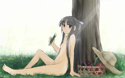 Rule 34 | 1girl, against tree, arm support, barefoot, basket, black eyes, black hair, collarbone, completely nude, cucumber, eating, eggplant, flat chest, food, full body, hair ribbon, hat, unworn hat, unworn headwear, holding, holding food, knee up, long hair, nature, navel, nipples, no nose, nude, on grass, on ground, original, outdoors, ponytail, ribbon, roreru (rorerore-ya), sidelocks, signature, sitting, solo, straw hat, tomato, tree, very long hair, white ribbon