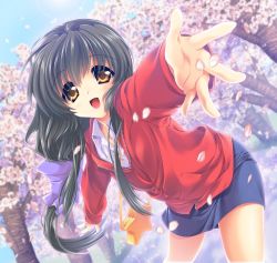 Rule 34 | 1girl, bag, black hair, blue eyes, blue skirt, brown eyes, cherry blossoms, clannad, commentary request, cowboy shot, foreshortening, ibuki fuuko, jacket, long hair, looking at viewer, low-tied long hair, official art, open mouth, outstretched arms, petals, red jacket, satomi yoshitaka, skirt, smile, solo, star (symbol), tree