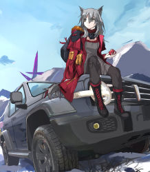 Rule 34 | 1girl, absurdres, animal ears, apple, arknights, car, commentary request, eating, food, fruit, fur trim, grey hair, grey pants, highres, holding, holding food, holding fruit, hood, hooded jacket, jacket, long hair, long sleeves, motor vehicle, on vehicle, open clothes, open jacket, outdoors, pants, projekt red (arknights), red jacket, sitting, solo, sports utility vehicle, tail, tianyu jifeng, vehicle focus, vehicle request, wolf ears, wolf girl, wolf tail