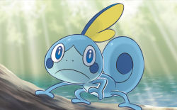 Rule 34 | ariga hitoshi, blue eyes, closed mouth, creature, creatures (company), day, frown, full body, game freak, gen 8 pokemon, looking at viewer, nintendo, no humans, official art, outdoors, pokemon, pokemon (creature), pokemon tcg, sobble, solo, standing, sunlight, third-party source