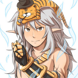 Rule 34 | 1boy, aura, black gloves, brown eyes, character doll, closed mouth, commentary request, eddga, gauntlets, gloves, grey hair, hat, jewelry, long hair, looking at viewer, male focus, natsuya (kuttuki), necklace, pointy ears, ragnarok online, simple background, solo, stuffed animal, stuffed tiger, stuffed toy, sura (ragnarok online), toned, toned male, top hat, topless male, upper body, white background