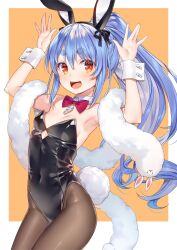 Rule 34 | 1girl, animal ears, armpits, black leotard, blue hair, bow, bowtie, breasts, brown pantyhose, cleavage, covered navel, detached collar, don-chan (usada pekora), fake animal ears, highres, hololive, leotard, long hair, looking at viewer, open mouth, orange eyes, pantyhose, playboy bunny, ponytail, rabbit tail, red bow, red bowtie, sidelocks, small breasts, solo, standing, tail, teeth, thick eyebrows, tongue, upper teeth only, usada pekora, virtual youtuber, wrist cuffs, yuuki hagure