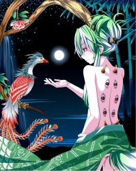 Rule 34 | 1girl, alternate hairstyle, back, bad id, bad pixiv id, bamboo, bird, ex-keine, extra eyes, eye focus, female focus, flower, folded ponytail, from behind, fujiwara no mokou, fujiwara no mokou (phoenix), full moon, green hair, hair up, hakutaku, horns, kamishirasawa keine, kamishirasawa keine (hakutaku), long hair, looking at another, mendou saya, moon, nape, night, night sky, nude, outstretched hand, phoenix, red eyes, shawl, sidelocks, sky, solo, tail, touhou, branch