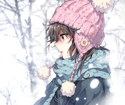 Rule 34 | 1girl, blue jacket, blue scarf, blurry, blurry background, blush, brown eyes, brown hair, hat, highres, jacket, knit hat, long hair, long sleeves, nardack, original, parted lips, scarf, snow, solo, tree, winter, winter clothes