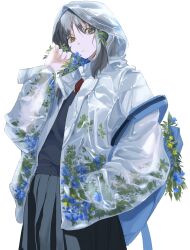 Rule 34 | 1girl, absurdres, backpack, bag, black hair, blue flower, commentary, cowboy shot, flower, flower in clothes, grey hair, grey skirt, grey sweater, hair flower, hair ornament, hand in pocket, hand up, highres, hood, hood up, hooded coat, long hair, long sleeves, looking at viewer, miniskirt, necktie, original, pleated skirt, raincoat, red necktie, school uniform, see-through, see-through coat, sidelocks, simple background, skirt, solo, spoon tneod, sweater, symbol-only commentary, transparent, white background, yellow eyes, yellow flower