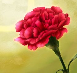 Rule 34 | carnation, flower, green background, highres, no humans, original, plant, red flower, simple background, still life, yomoyama yotabanashi