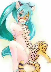 Rule 34 | 1girl, animal ears, breasts, cheetah, drooling, extra breasts, furry, furry female, hatsune miku, heterochromia, kagerofu, long hair, nipples, solo, sweat, tail, tears, transformation, vocaloid, what