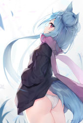 Rule 34 | 1girl, animal ears, black jacket, blue hair, blush, closed mouth, commentary, double bun, hair between eyes, hair bun, hand in pocket, highres, jacket, long hair, long sleeves, looking at viewer, looking back, mishuo (misuo69421), original, panties, profile, purple scarf, red eyes, scarf, solo, symbol-only commentary, tail, underwear, very long hair, white panties