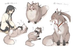 Rule 34 | ahoge, animal, animal ears, animalization, black hair, dog, dog ears, dog tail, fox ears, fox tail, hachimaki, headband, high ponytail, hinata hibari, japanese clothes, kantai collection, long hair, low-tied long hair, multiple girls, open mouth, petting, ponytail, shouhou (kancolle), simple background, skirt, tail, translation request, white background, yawning, zuihou (kancolle)