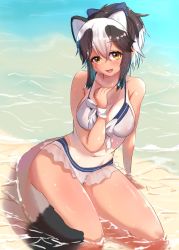 Rule 34 | 1girl, akaisuto, animal ears, bad id, bad twitter id, beach, bikini, black hair, bow, breasts, collarbone, extra ears, fang, full body, hair between eyes, hair bow, hand up, high ponytail, highres, kemono friends, leaning to the side, looking at viewer, medium breasts, medium hair, multicolored hair, navel, open mouth, raccoon ears, raccoon tail, sand, seiza, sidelocks, sitting, smile, solo, stomach, swimsuit, tail, tan, tanline, tanuki (kemono friends), two-tone hair, water, wet, white hair, yellow eyes