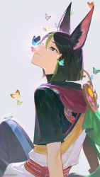 Rule 34 | 1boy, animal ear fluff, animal ears, arms behind back, asymmetrical sleeves, belt, black hair, blunt ends, bug, butterfly, butterfly on nose, cape, chinese commentary, commentary request, fox boy, fox ears, from side, genshin impact, green eyes, green hair, hair between eyes, highres, hood, hoodie, insect, long sleeves, male focus, multicolored hair, ru (famia), short hair, short sleeves, signature, simple background, smile, solo, streaked hair, tighnari (genshin impact), twitter username, white background