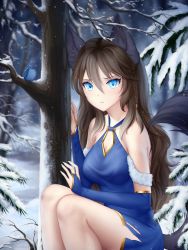 Rule 34 | 1girl, animal ears, bare shoulders, bare tree, black ears, black tail, blue dress, blue eyes, blue jay, blurry, blurry background, braid, breasts, bridal gauntlets, brown hair, cleavage, cleavage cutout, clothing cutout, commission, dot nose, dress, freckles, gigamessy, hair between eyes, hair ornament, long hair, looking at viewer, medium breasts, nervous, original, outdoors, pine tree, sitting, snow, snowing, solo, tail, torn clothes, tree, winter, wolf ears, wolf tail