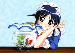 Rule 34 | 1girl, absurdres, andou mahoro, blue hair, blush, fish, fishbowl, green eyes, highres, mahoromatic, maid, simple background, smile, solo