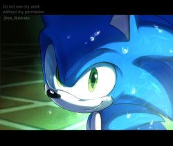 Rule 34 | 1boy, animal ears, blue fur, closed mouth, derivative work, green eyes, hedgehog, hedgehog ears, isa-415810, korean commentary, letterboxed, looking at viewer, male focus, mixed-language commentary, screenshot redraw, smile, snout, sonic (series), sonic the hedgehog, sonic x, water drop, wet