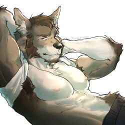 Rule 34 | 1boy, abs, animal ears, bara, black pants, clothes lift, commentary, coyote boy, echo project, english commentary, furry, furry male, highres, looking at viewer, male focus, pants, pectorals, shirt, shirt lift, sleeveless, sleeveless shirt, tail, the smoke room, topless male, twitter username, white background, white shirt, william adler (the smoke room), wolf ears, wolf tail, zappitoo (kaiserdraws)