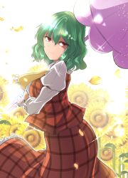 Rule 34 | 1girl, ascot, flower, from side, green hair, highres, holding, holding umbrella, juliet sleeves, kazami yuuka, long sleeves, looking at viewer, plaid, plaid skirt, plaid vest, puffy sleeves, red eyes, red skirt, red vest, shirt, skirt, skirt set, solo, sunflower, touhou, umbrella, vest, white shirt, y2, yellow ascot