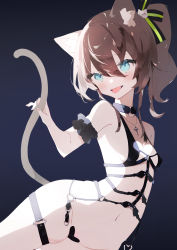 Rule 34 | 1girl, alternate costume, animal ears, aoiro 0w0, arm garter, armpit crease, bare shoulders, black background, black choker, black ribbon, blue eyes, breasts, brown hair, cat ears, cat tail, chest harness, choker, cross, cross necklace, hair between eyes, hair ribbon, harness, heart maebari, highres, hololive, jewelry, kemonomimi mode, lingerie, maebari, natsuiro matsuri, navel, necklace, open mouth, ribbon, side ponytail, simple background, skindentation, small breasts, smile, solo, stomach, tail, thigh strap, tongue, tongue out, underwear, virtual youtuber