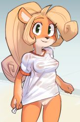 Rule 34 | 1girl, ahoge, aliasing, animal ears, blonde hair, blush, body fur, breasts, cleft of venus, clenched hands, coco bandicoot, cowboy shot, crash bandicoot (series), female focus, furry, furry female, gluteal fold, gradient background, green eyes, grey background, happy, heart, highres, huge ahoge, light blush, long hair, looking at viewer, medium breasts, navel, nipples, no bra, no humans, parted lips, ponytail, pussy, see-through, shirt, shirt tug, short sleeves, simple background, smile, solo, standing, teeth, third-party edit, uncensored, underwear, wamudraws, wet, wet clothes, wet shirt, white shirt
