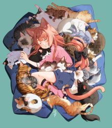 Rule 34 | 1girl, animal, animal ear fluff, animal ears, aqua background, black bow, blush, bow, brown hair, cat, cat day, cat ears, cat tail, closed eyes, commentary request, drooling, fang, hair bow, highres, kneehighs, long hair, lying, nekozuki yuki, on side, open mouth, original, overall shorts, overalls, pillow, pink shirt, pink socks, saliva, shirt, short sleeves, sleeping, socks, solo, tail, toeless legwear, too many, too many cats, twitter username, very long hair, white cat