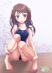 Rule 34 | 1girl, ass, barefoot, blush, breasts, brown eyes, brown hair, circle name, closed mouth, collarbone, commentary request, competition swimsuit, floor, highres, holding own foot, indoors, long hair, looking away, one-piece swimsuit, original, pigeon-toed, sakaguchi takayuki, shadow, shiny skin, sideboob, sitting, skin tight, small breasts, solo, swimsuit, toenails, wall, wooden floor