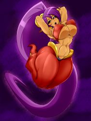 Rule 34 | 1girl, absurdres, ber00, breasts, dark skin, highres, huge breasts, large breasts, shantae, shantae (series), thick thighs, thighs