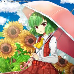 Rule 34 | album cover, blue sky, check commentary, cloud, commentary, commentary request, cover, floral background, flower, garden of the sun, green hair, hachipuyo, holding, holding umbrella, kazami yuuka, long skirt, looking at viewer, official art, parasol, plaid, plaid skirt, plaid vest, red eyes, red skirt, red vest, short hair, skirt, skirt set, sky, smile, sunflower, touhou, touhou cannonball, umbrella, vest, wavy hair
