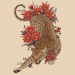 Rule 34 | animal, animal focus, fangs, floating, flower, leopard, no humans, norapotwora, open mouth, original, pawpads, simple background, top-down bottom-up