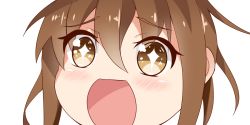 Rule 34 | + +, 10s, 1girl, brown eyes, brown hair, close-up, kantai collection, looking at viewer, nahaki, no nose, open mouth, portrait, short hair, simple background, sin-poi, solo, sparkling eyes, symbol-shaped pupils, wakaba (kancolle), white background