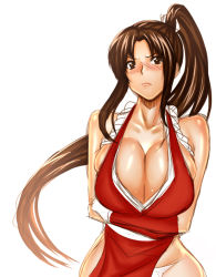 Rule 34 | 1girl, blush, breast hold, breasts, brown eyes, brown hair, cleavage, crossed arms, fatal fury, huge breasts, large breasts, long hair, pelvic curtain, ponytail, shiranui mai, sideboob, simple background, snk, solo, the king of fighters
