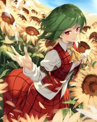 Rule 34 | 1girl, arm belt, ascot, asutora, blue sky, buttons, collared shirt, day, dress shirt, floating hair, flower, foreshortening, green hair, highres, kazami yuuka, long sleeves, looking at viewer, open clothes, open vest, outdoors, outstretched arms, parted lips, petals, plaid, plaid skirt, plaid vest, red eyes, red skirt, red vest, shirt, short hair, skirt, skirt set, sky, solo, standing, sunflower, touhou, vest, wind, wing collar, yellow ascot