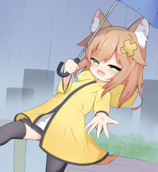Rule 34 | 1girl, animal ear fluff, animal ears, black thighhighs, cat ears, cat tail, child, coat, fang, green eyes, hair ornament, holding, hood, hood down, hooded coat, indie virtual youtuber, leaning back, looking at viewer, nekoname tuna, open mouth, orange hair, outdoors, outstretched arm, outstretched hand, rain, raincoat, reaching, reaching towards viewer, shirt, smug, solo, squinting, stepping, tail, thighhighs, umbrella, virtual youtuber, walking, white shirt, yellow coat, yellow raincoat, yig yuki (yig-gha)