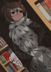 Rule 34 | 2girls, black hair, black panties, blush, book, bookshelf, bow, bow panties, brown eyes, brown hair, center opening, closed mouth, coat, commentary request, crotch seam, dutch angle, eurasian eagle owl (kemono friends), flashing, frown, fur collar, furrowed brow, gloves, grey hair, hair between eyes, highres, indoors, kemono friends, long sleeves, looking to the side, looking up, medium hair, multiple girls, northern white-faced owl (kemono friends), nose blush, owl ears, panties, panties under pantyhose, pantyhose, partially unbuttoned, rinx, see-through, see-through legwear, solo focus, thigh gap, underwear, white pantyhose