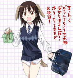 Rule 34 | 00s, 1girl, agahari, alternate costume, alternate hairstyle, animal ears, argyle, argyle clothes, argyle sweater vest, bag, brown hair, dog ears, dress shirt, gertrud barkhorn, necktie, school uniform, shirt, solo, strike witches, sweater vest, tail, translated, world witches series