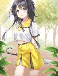 Rule 34 | 1girl, :d, amagasaki eko, arms behind back, black hair, blue eyes, breasts, cha chya, collared shirt, cowboy shot, crop top, crop top overhang, day, dew drop, forest, high-waist skirt, highres, long hair, looking at viewer, medium breasts, midriff peek, miniskirt, nature, open mouth, outdoors, palette project, plant, rainbow, shirt, short sleeves, skirt, smile, solo, tree, umbrella, virtual youtuber, water drop, white shirt, yellow skirt
