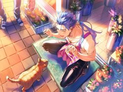 Rule 34 | 1boy, ^ ^, apron, bag, bikkusama, black pants, blue hair, cat, closed eyes, cu chulainn (fate), doormat, doorway, earrings, emiya-san chi no kyou no gohan, entrance, closed eyes, fang, fate (series), flower, full body, grocery bag, highres, jewelry, cu chulainn (fate/stay night), long hair, male focus, mullet, open mouth, out of frame, outdoors, pants, pink apron, plant, ponytail, potted plant, rug, shirt, shoes, shopping bag, smile, sneakers, solo focus, spiked hair, squatting, t-shirt, tile floor, tiles
