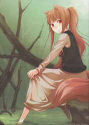 Rule 34 | 00s, 1girl, alternate hairstyle, animal ears, ayakura juu, barefoot, brown hair, highres, holo, long hair, official art, ponytail, red eyes, sitting, soaking feet, solo, spice and wolf, tail, water, wolf ears, wolf tail