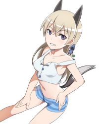 Rule 34 | 1girl, animal ears, bare shoulders, blue eyes, blush, breasts, collarbone, eila ilmatar juutilainen, eyebrows, fox ears, fox tail, grin, groin, hand on own hip, hand on own thigh, hand on thigh, looking at viewer, medium breasts, medium hair, nanashino, navel, parted lips, shorts, simple background, smile, solo, strike witches, striped clothes, striped shorts, tail, white background, white hair, world witches series